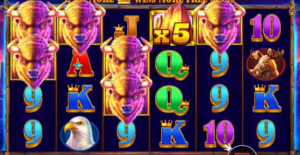 Buffalo King buffalo win 1