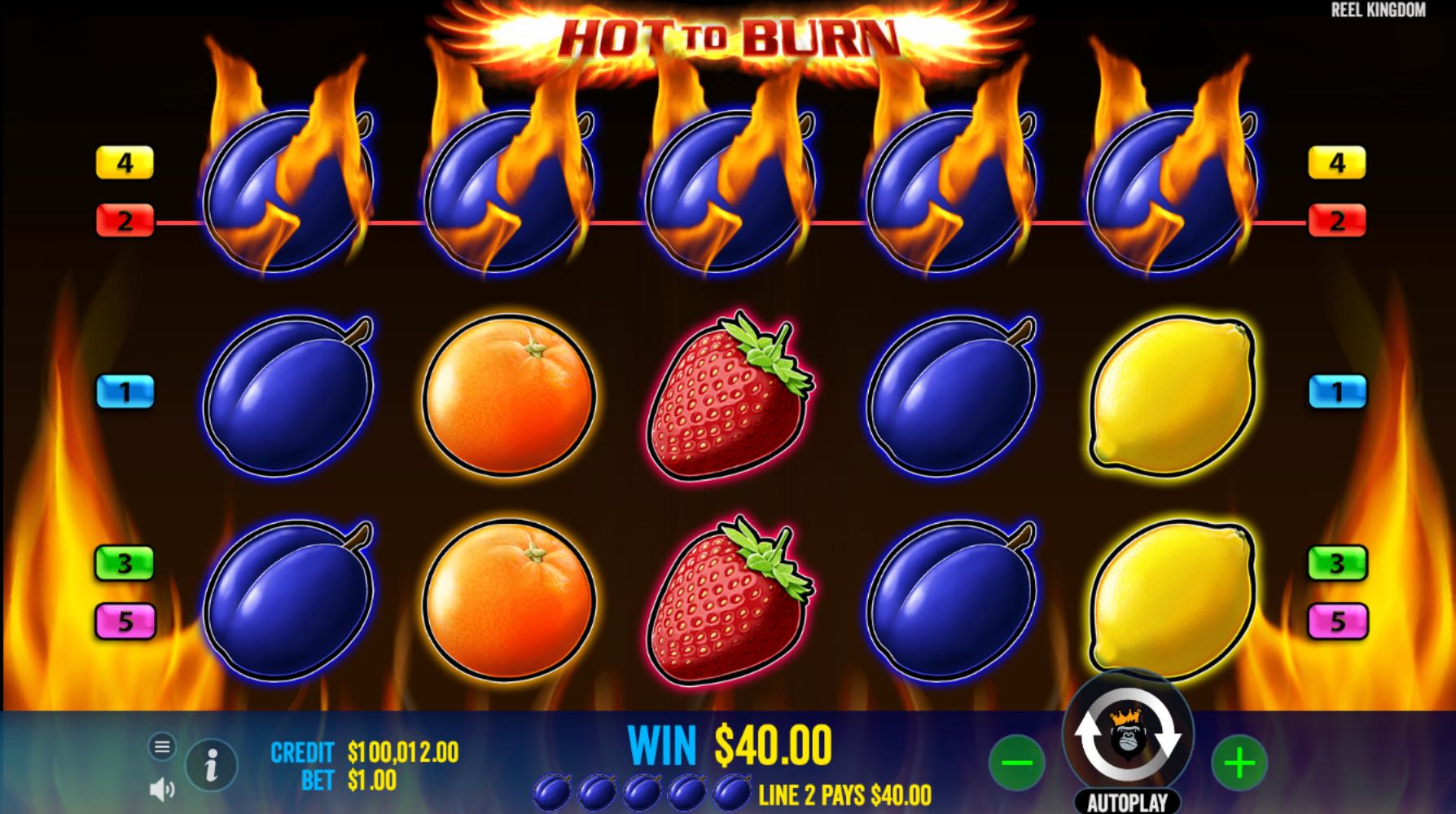 Hot to Burn plums full line win